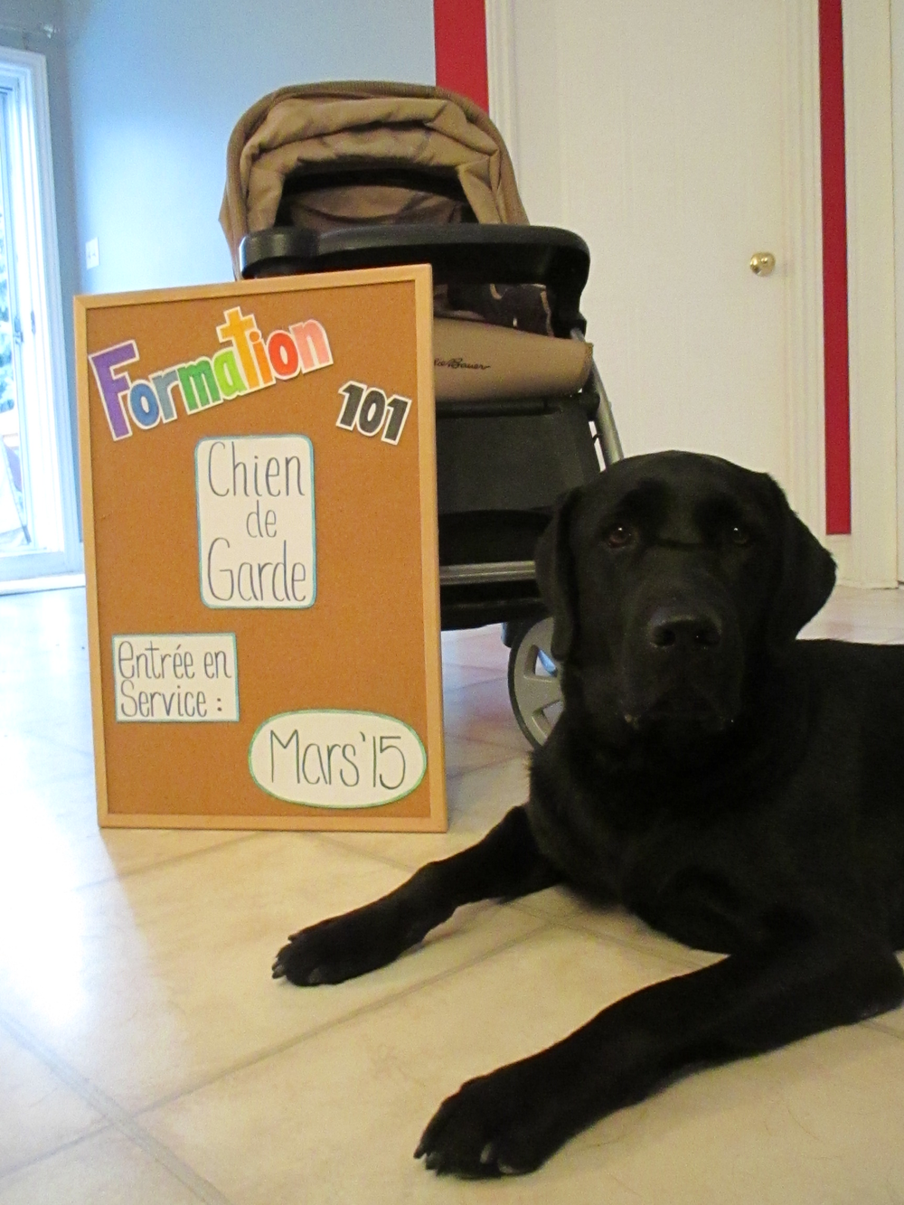 Concours Annonces De Grossesse Le Vote Je Suis Une Maman