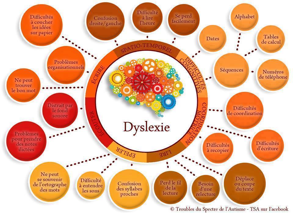 Qu'est ce que la dyslexie ? - CultureDys