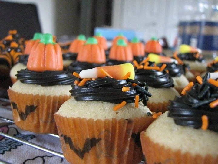 Crédit photo : Carolyne Soulard