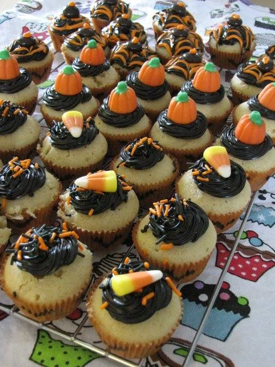 Crédit photo : Carolyne Soulard