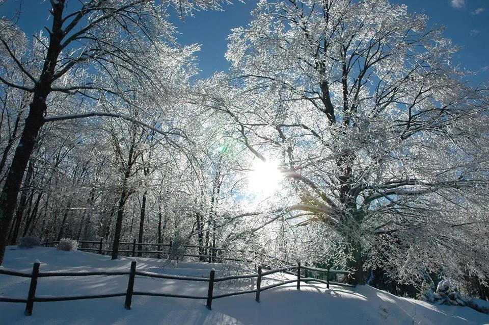 Crédit photo : Bruno Poirier