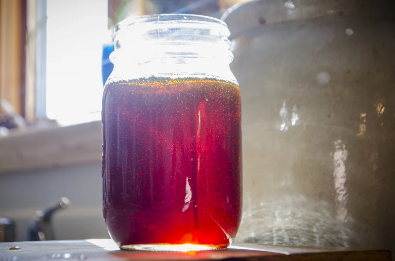 Crédit photo : Catherine Galarneau