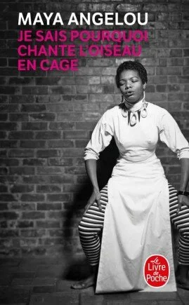 suggestion-livre-adulte-histoire-des-Noirs