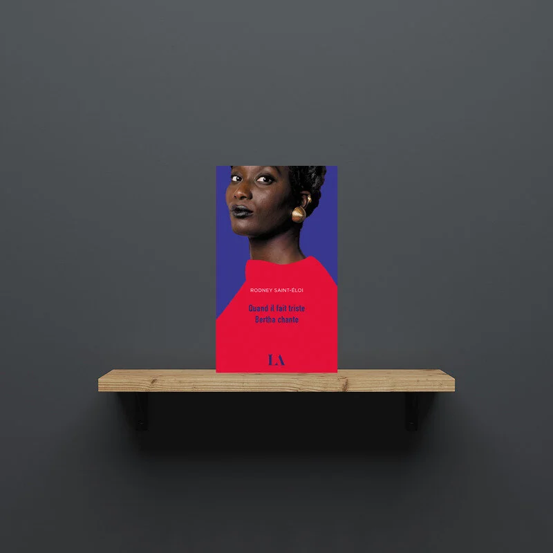 suggestion-livre-adulte-histoire-des-Noirs