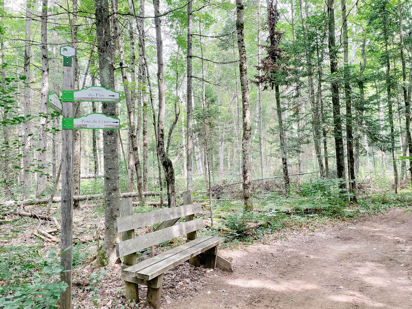 Banc Parc régional des Grandes Coulées.JPG