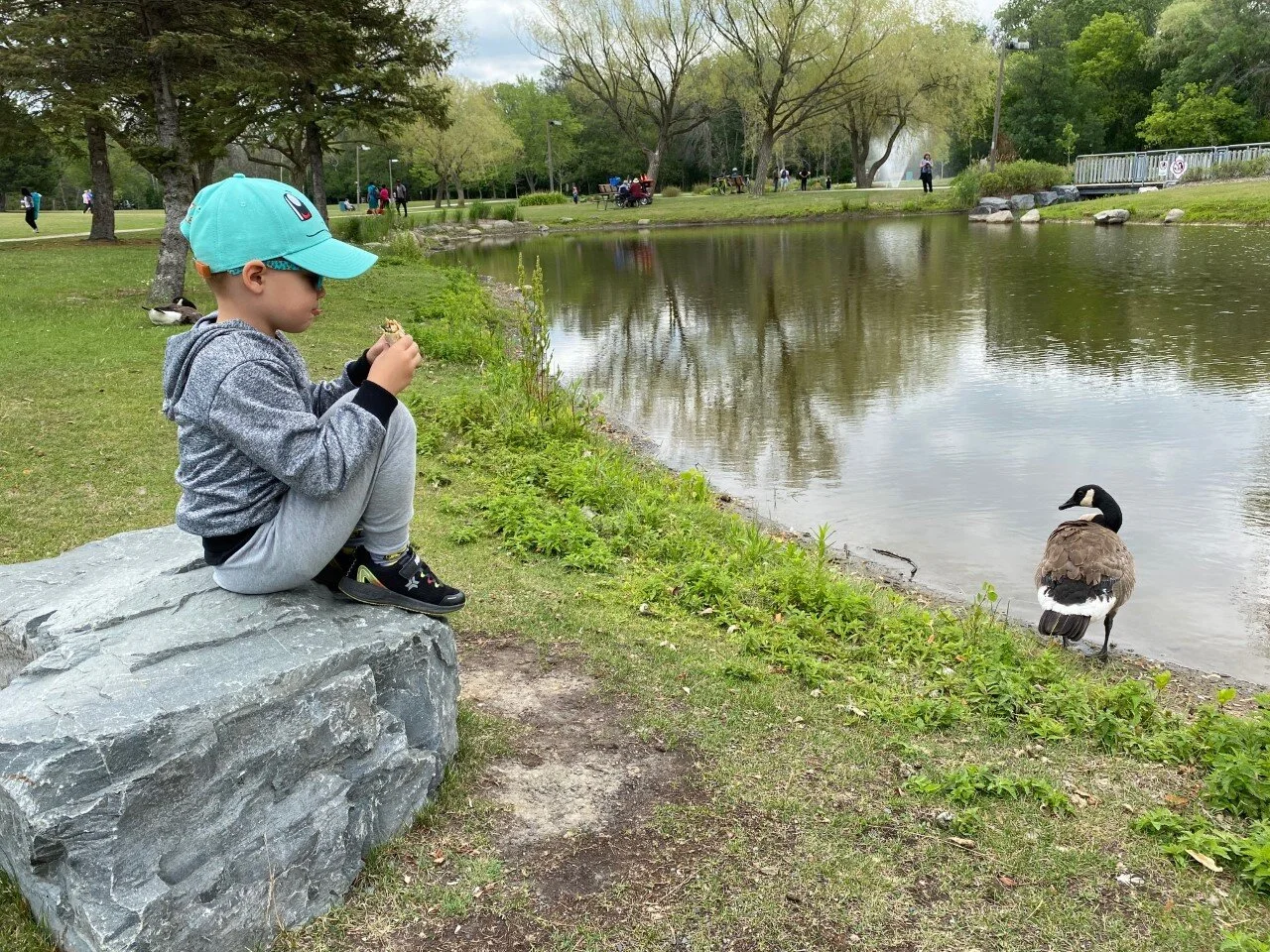 Un pique-nique avec vue pour Logan