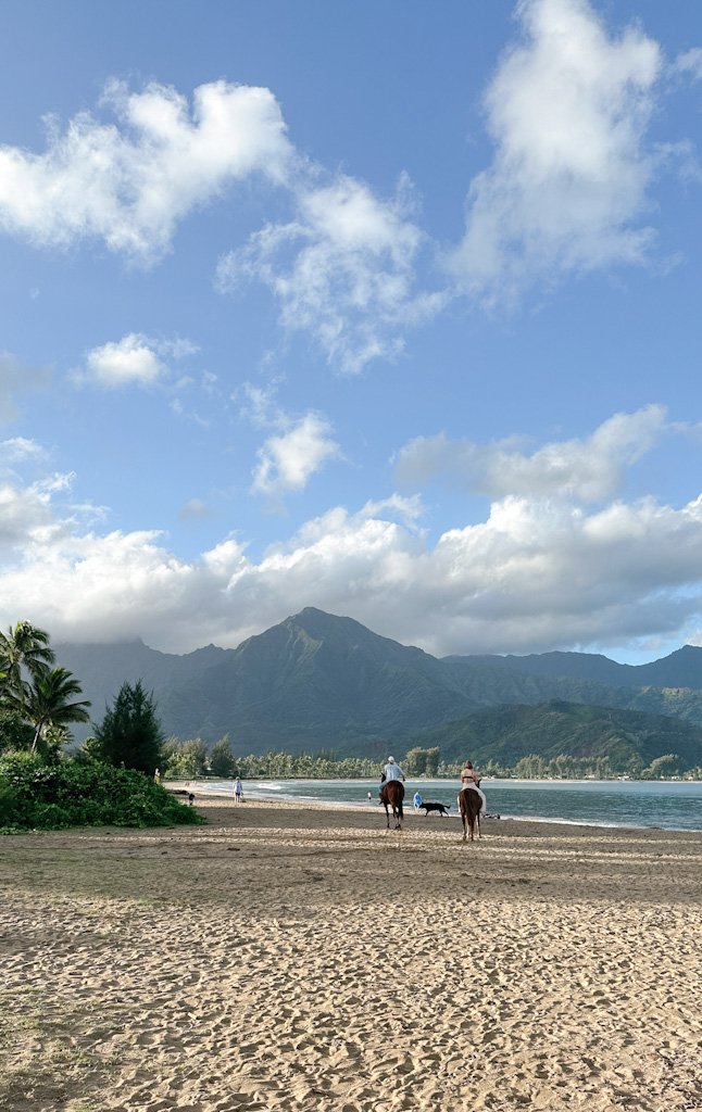 Belle plage à Hanalei Bay.jpg