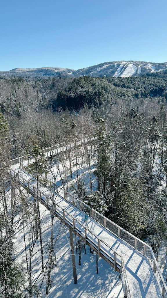 Magnifique sentier des cimes activité familiale laurentides.jpg