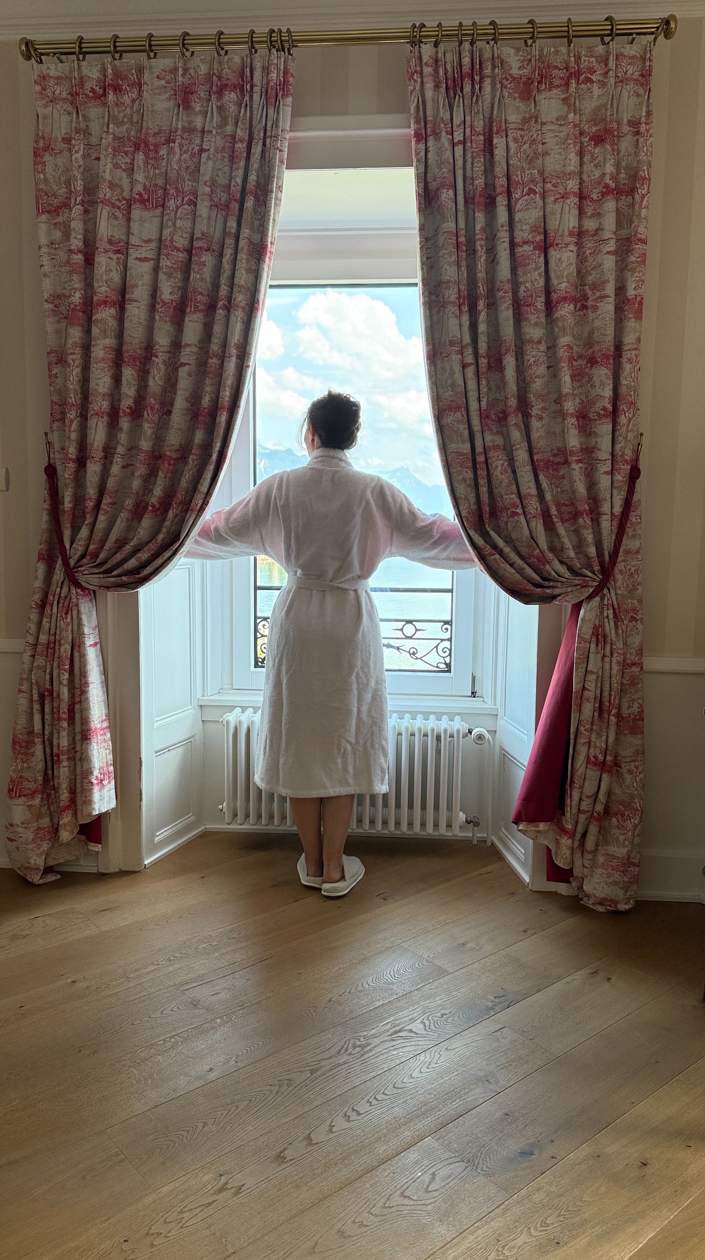 Vevey Hôtel Vue Montagnes.JPEG