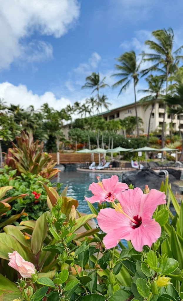 Piscines et jardins tropicaux du Grand Hyatt Kauai.jpg