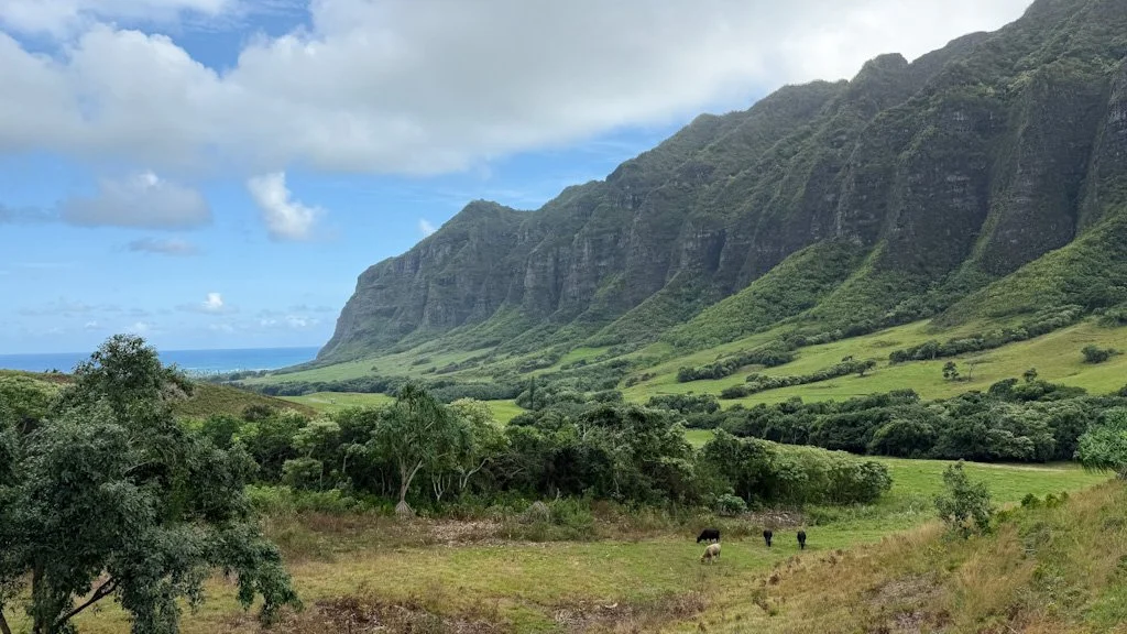 Guide complet pour un séjour inoubliable à Waikiki et Oahu : hôtels, activités, plages et coups de cœur