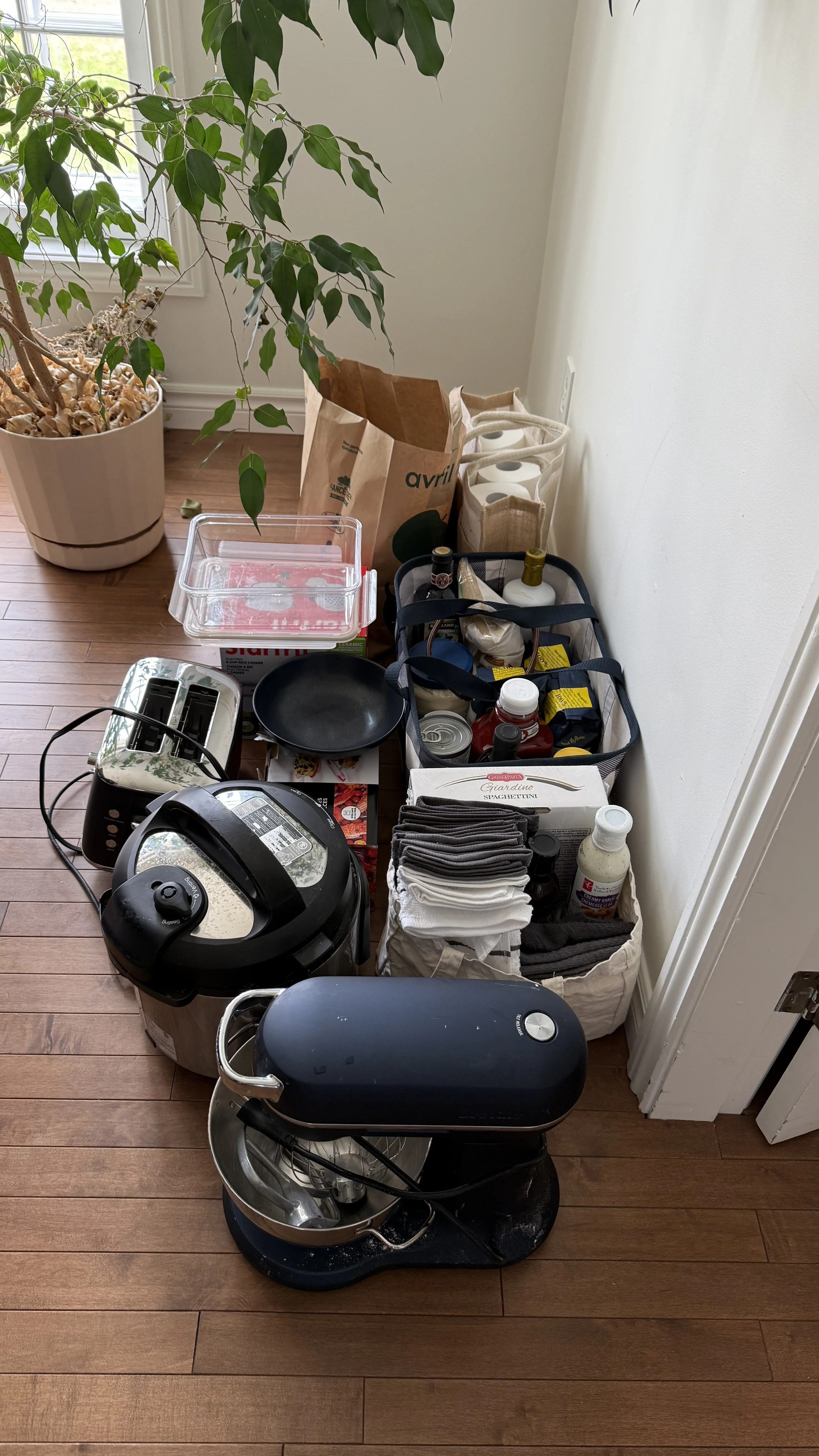 Quand ton enfant quitte le nid.jpg