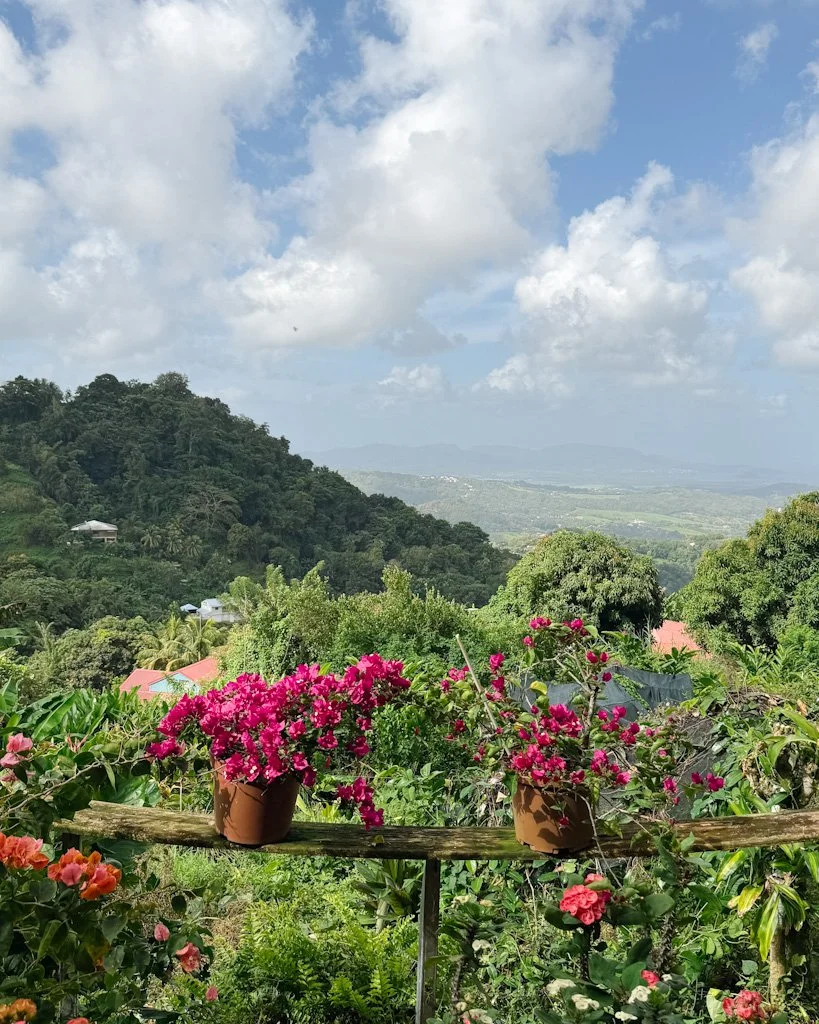 Vol direct Montréal Martinique.jpg