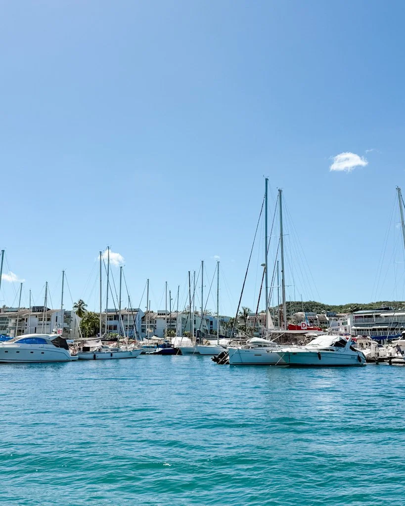 Escapade en mer, la Martinique.jpg