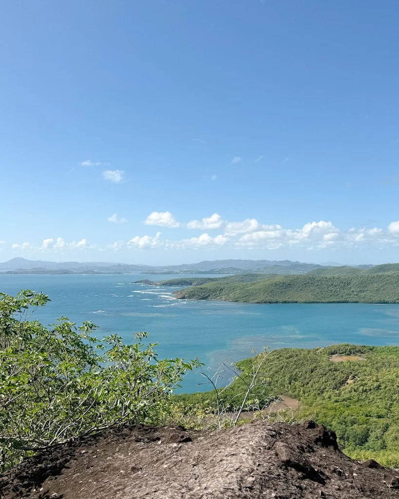 Randonnée en Martinique.jpg