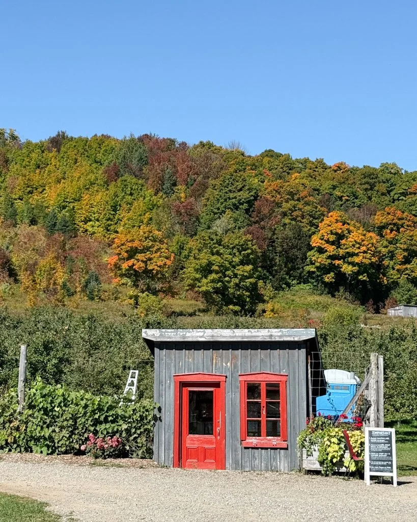 Où cueillir des pommes Lanaudière.jpg