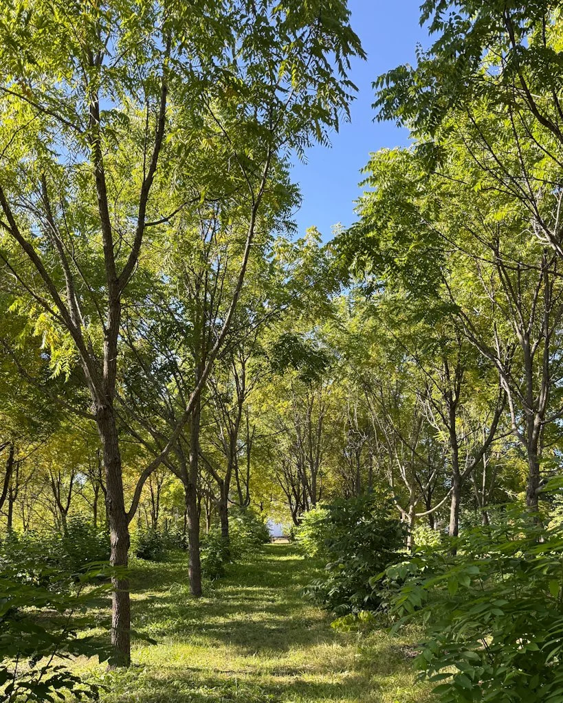 Le Jardin des noix dans Lanaudière.jpg