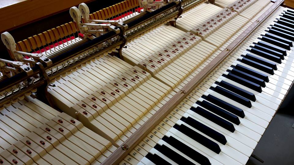 New Custom Steinway model D Keys
