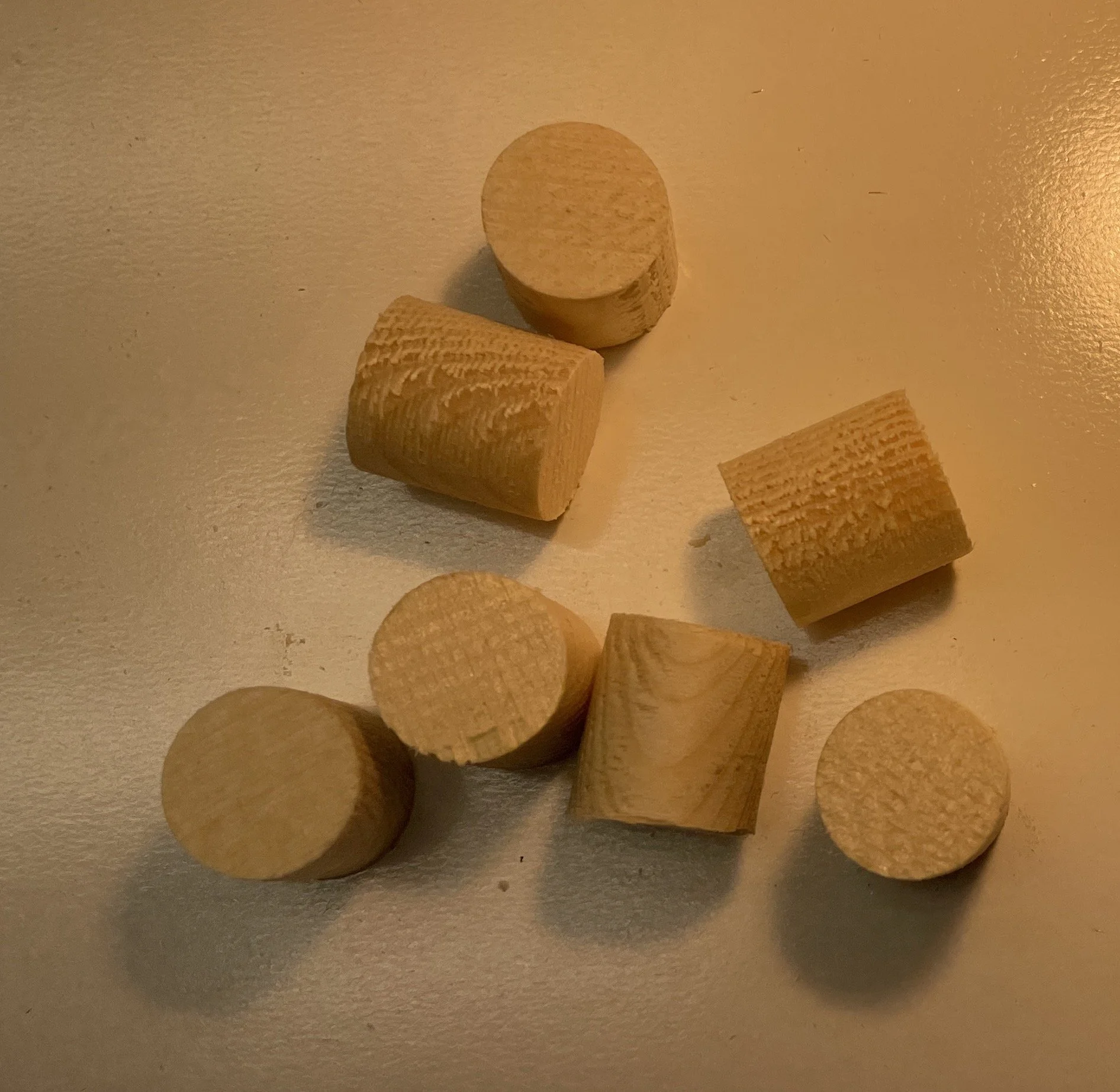 spruce plugs.JPG