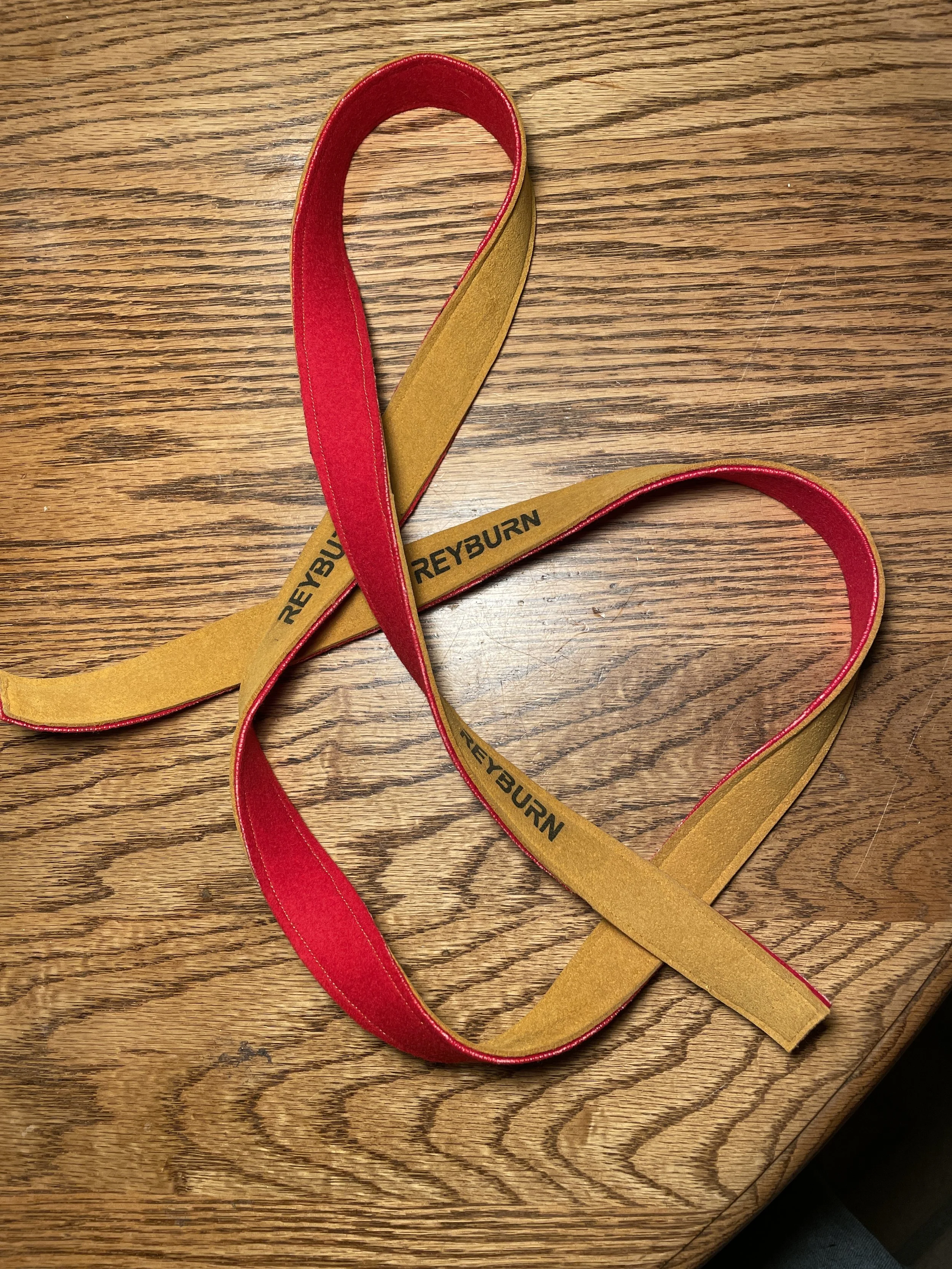 Reyburn Temperament strip.JPG