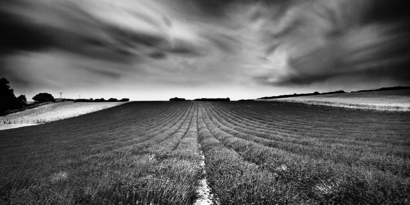 All The Mono's.....