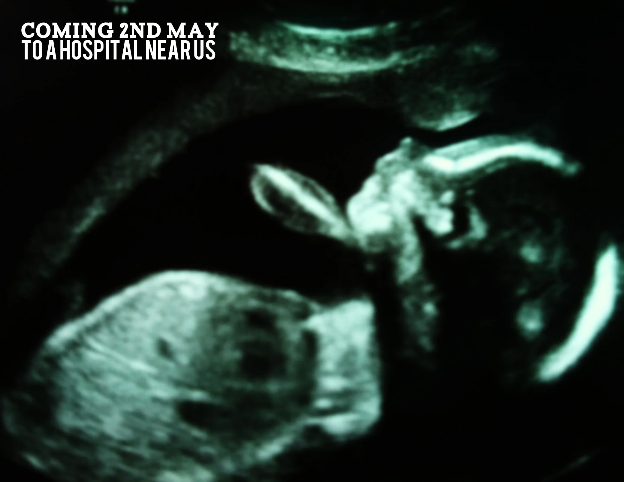 scan.jpg