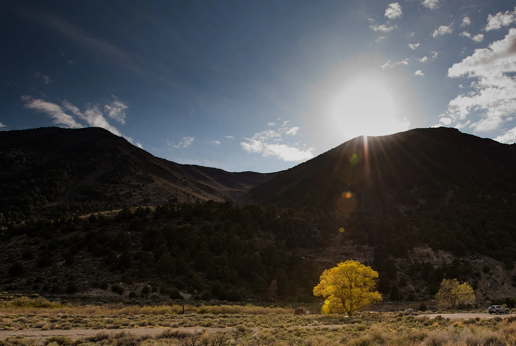 Fun with lens flare