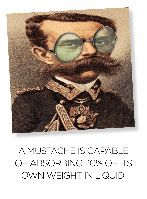 Fun little, rapid fire, project that combines 2 stock photo images