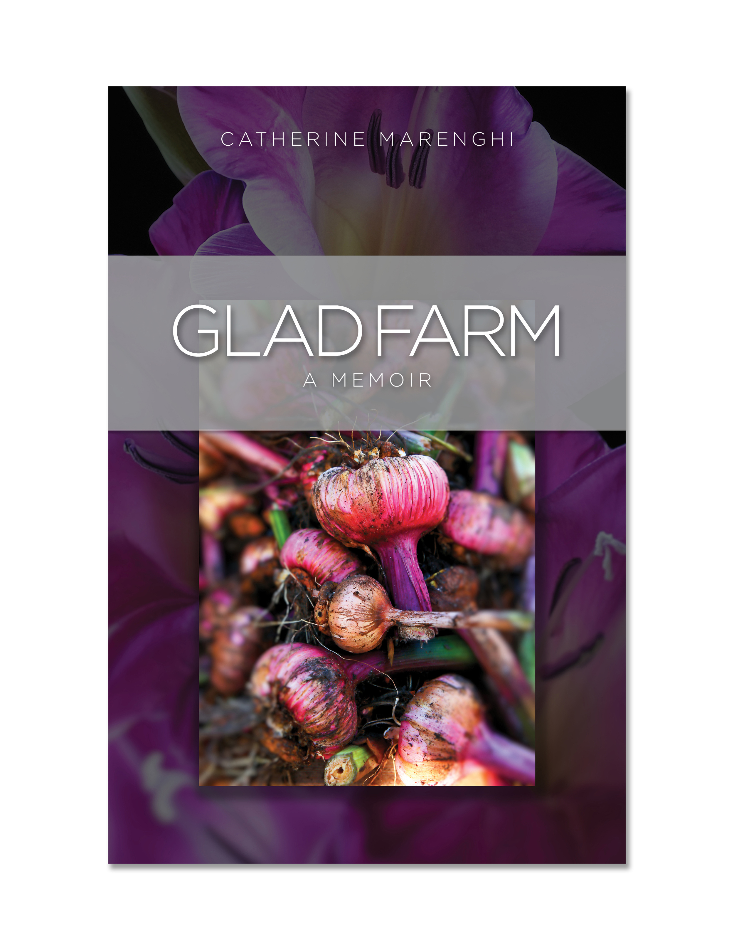 GLAD FARM: initial cover concept #4
