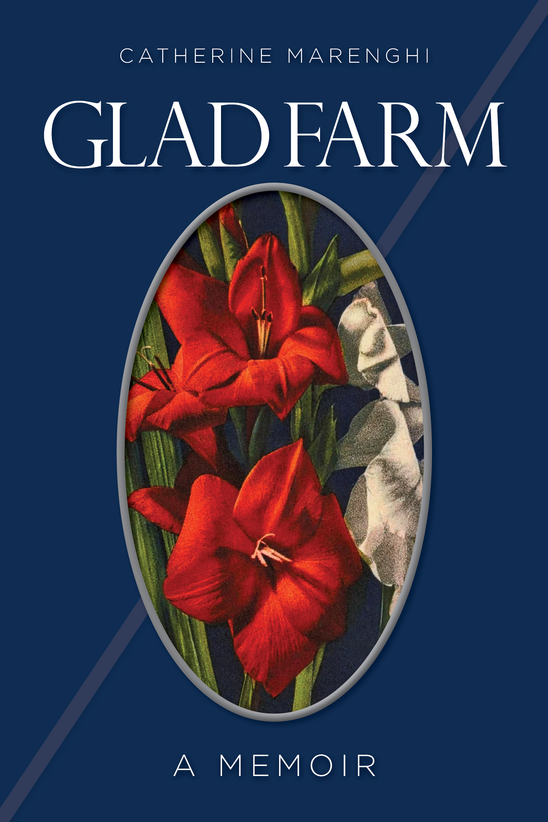 GLAD FARM: revised cover concept #2