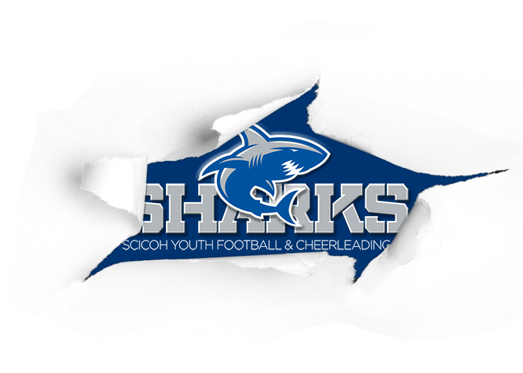 The SciCoh Sharks mascot mark was introduced in 2011.
