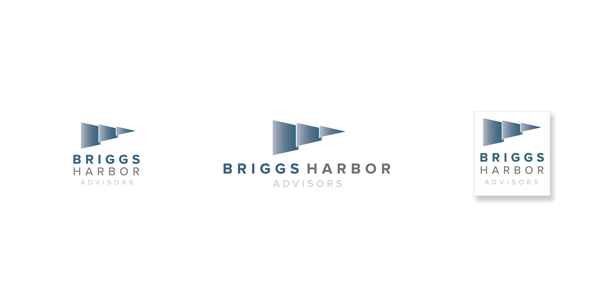 Briggs_Harbor_Logos_2502x1251_020321.jpg