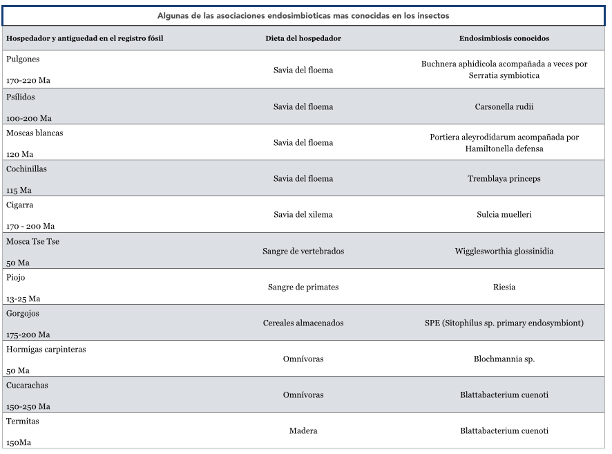 Figura 2. Asociaciones endosimbioticas