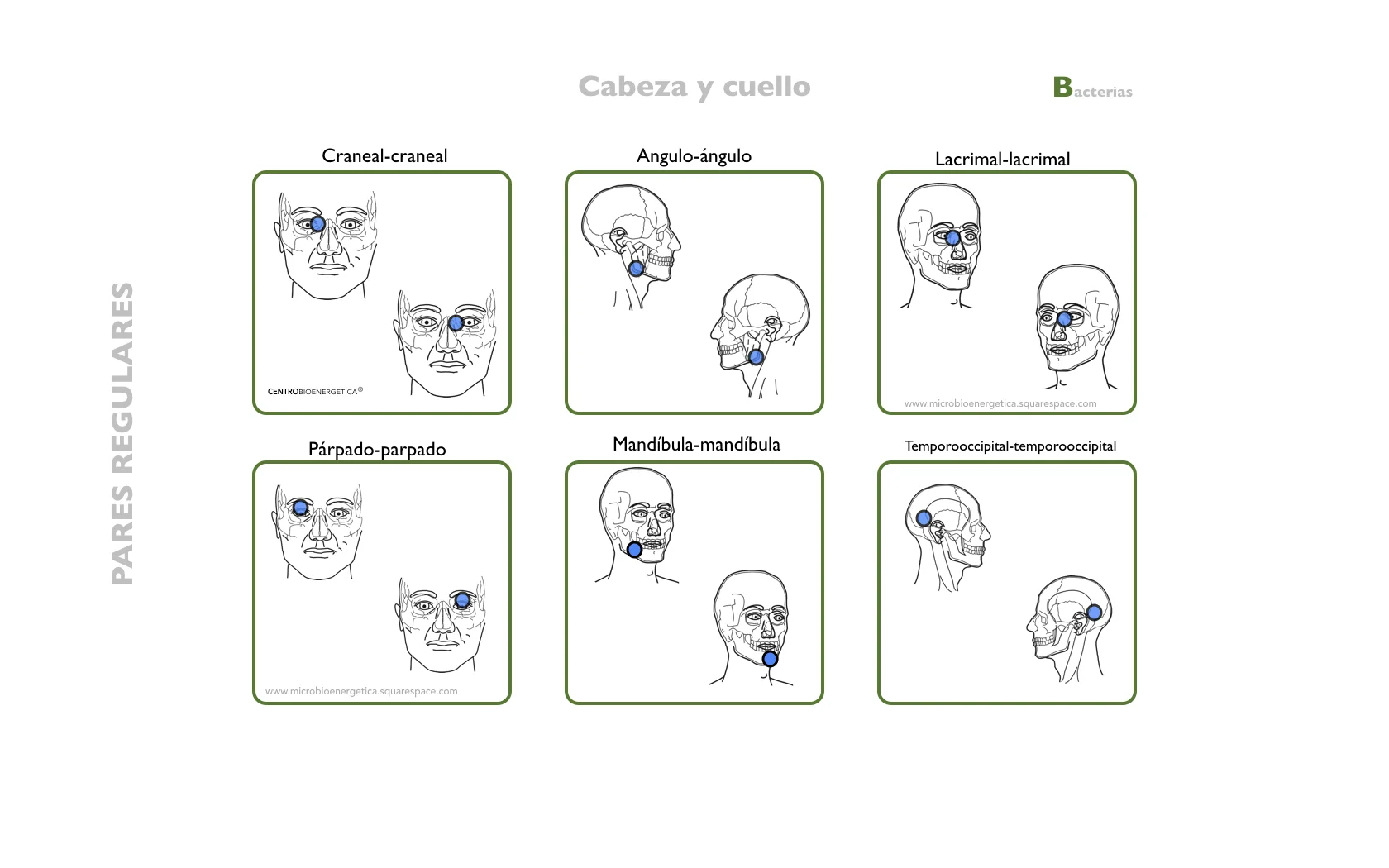 NUEVO MANUAL.011.jpeg