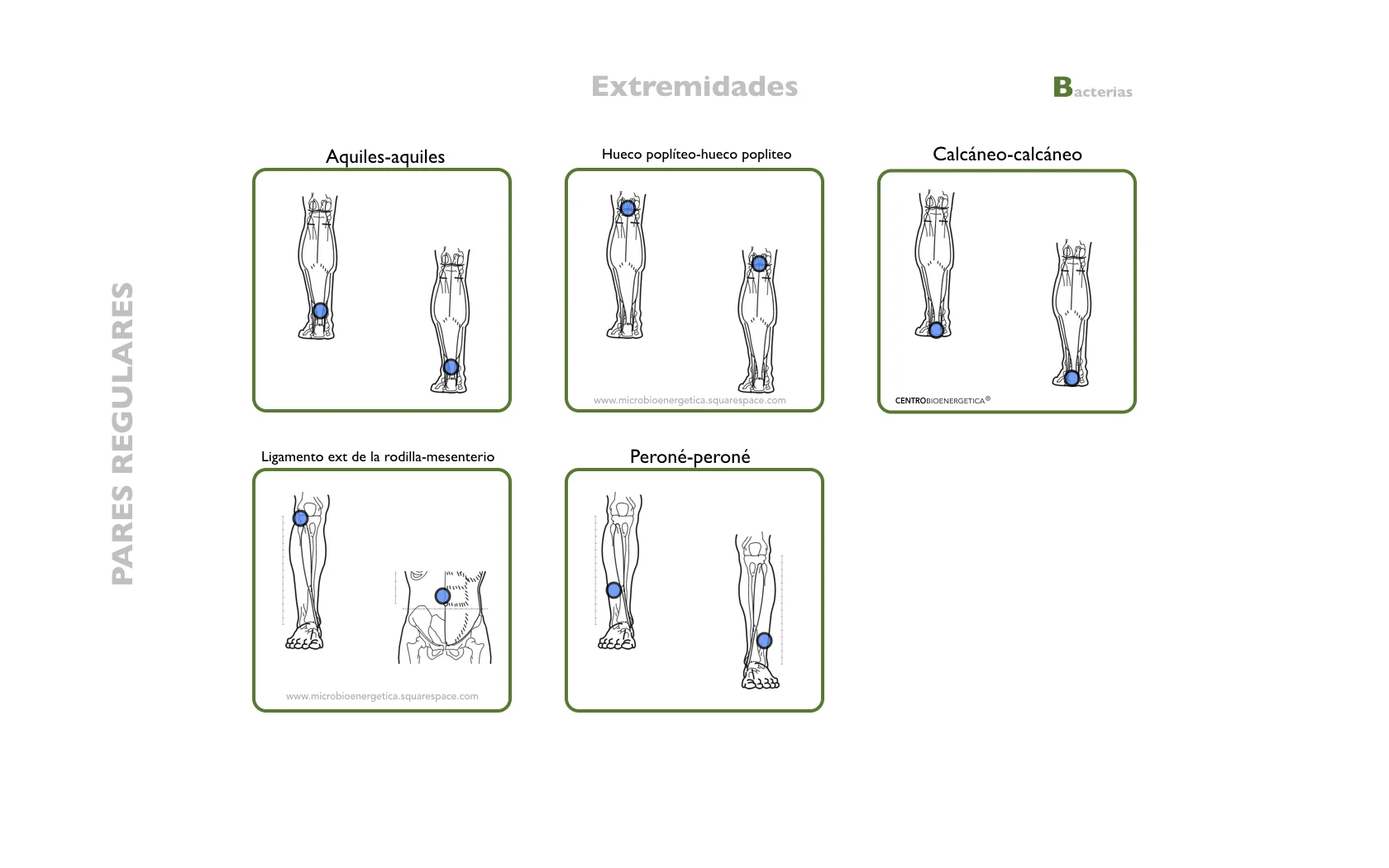 NUEVO MANUAL.025.jpeg