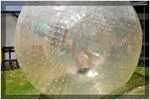 5218463-6959546-thumbnail.jpg