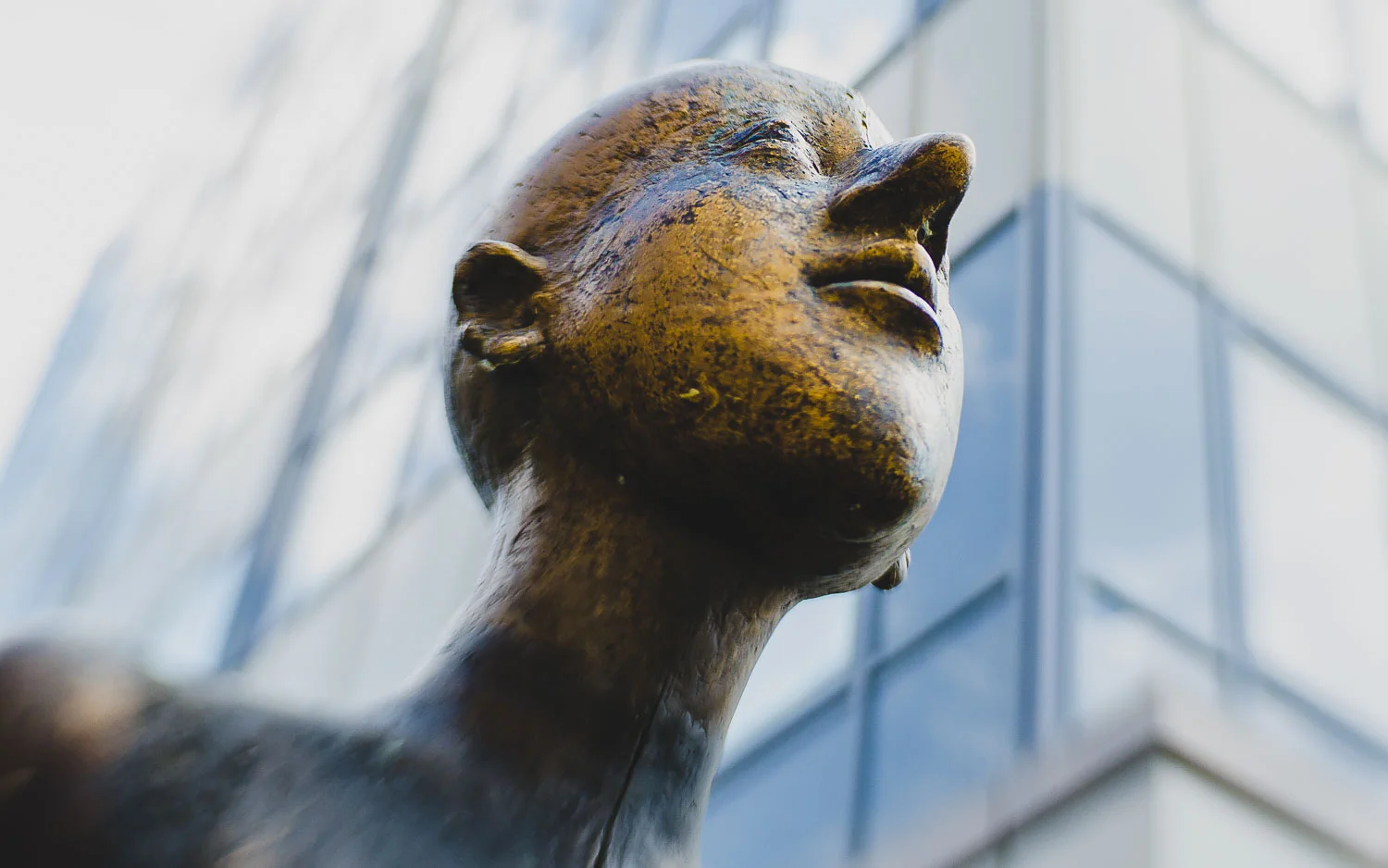 What Advice Would You Give Your 33 Year Old Self?