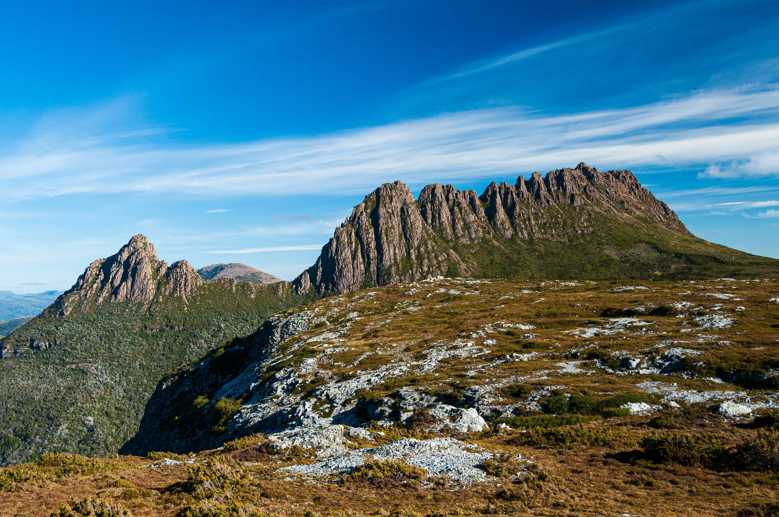 Memories On The Wall