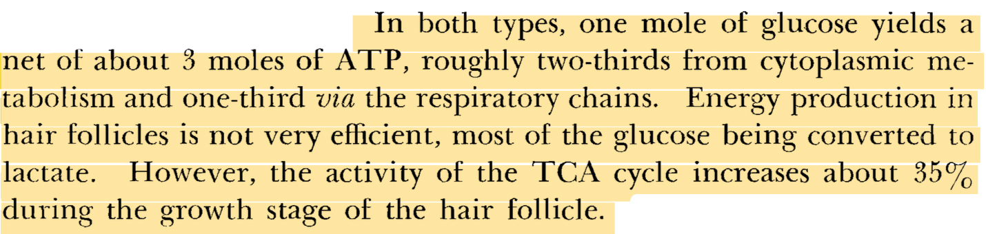 Adachi, K., et al. Human Hair Follicles: Metabolism and Control Mechanisms. J. Soc. Cosmet. Chem., 21, 901-924 (Dec. 9, 1970). 