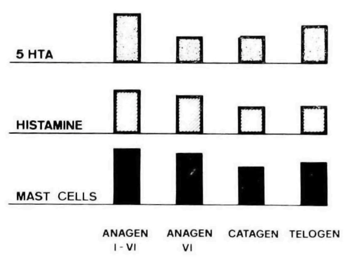 Image : serotonin, histamine, and mast cells in the hair cycle