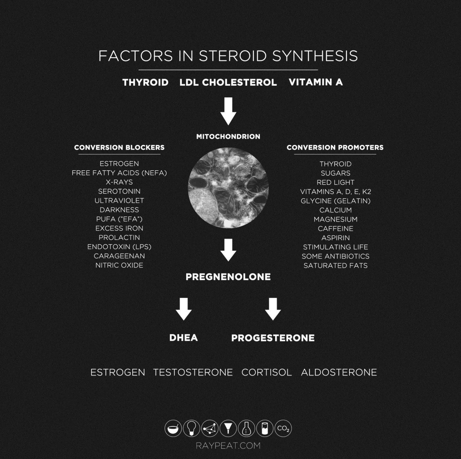 Steroids Low Res.jpg