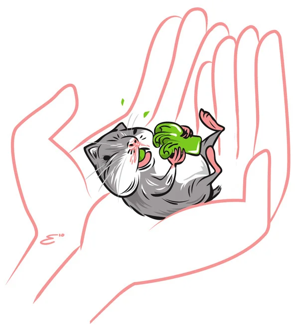 baby-hamster-eating-broccoli_4927232919_o.jpg