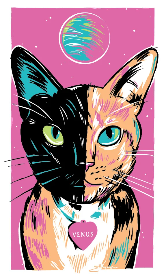 venus-the-two-faced-chimera-cat_7877268490_o.jpg