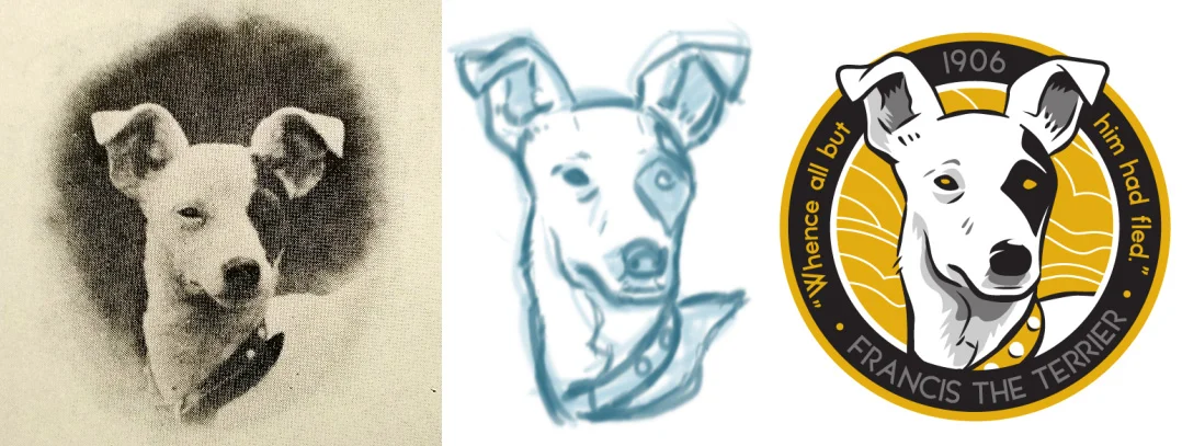 Francis photo, sketch, and vector drawing.