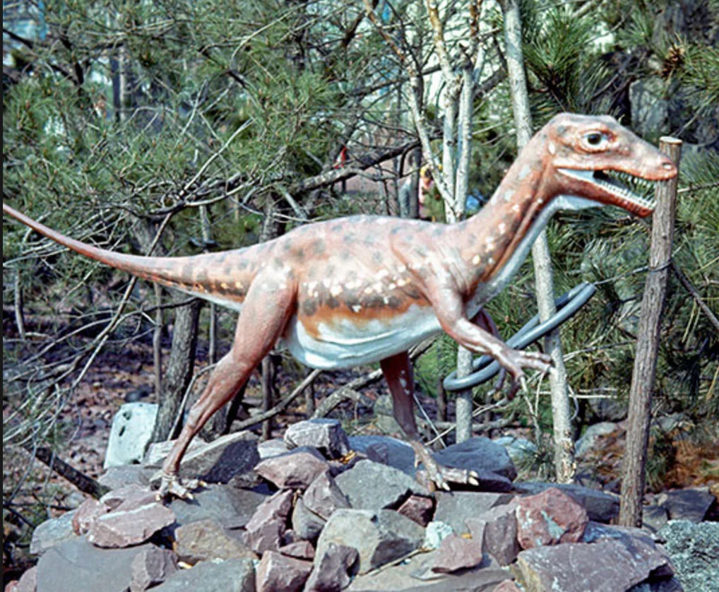 ornitholestes.jpg