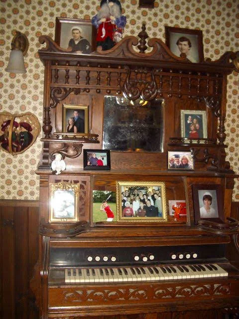 organ.jpg