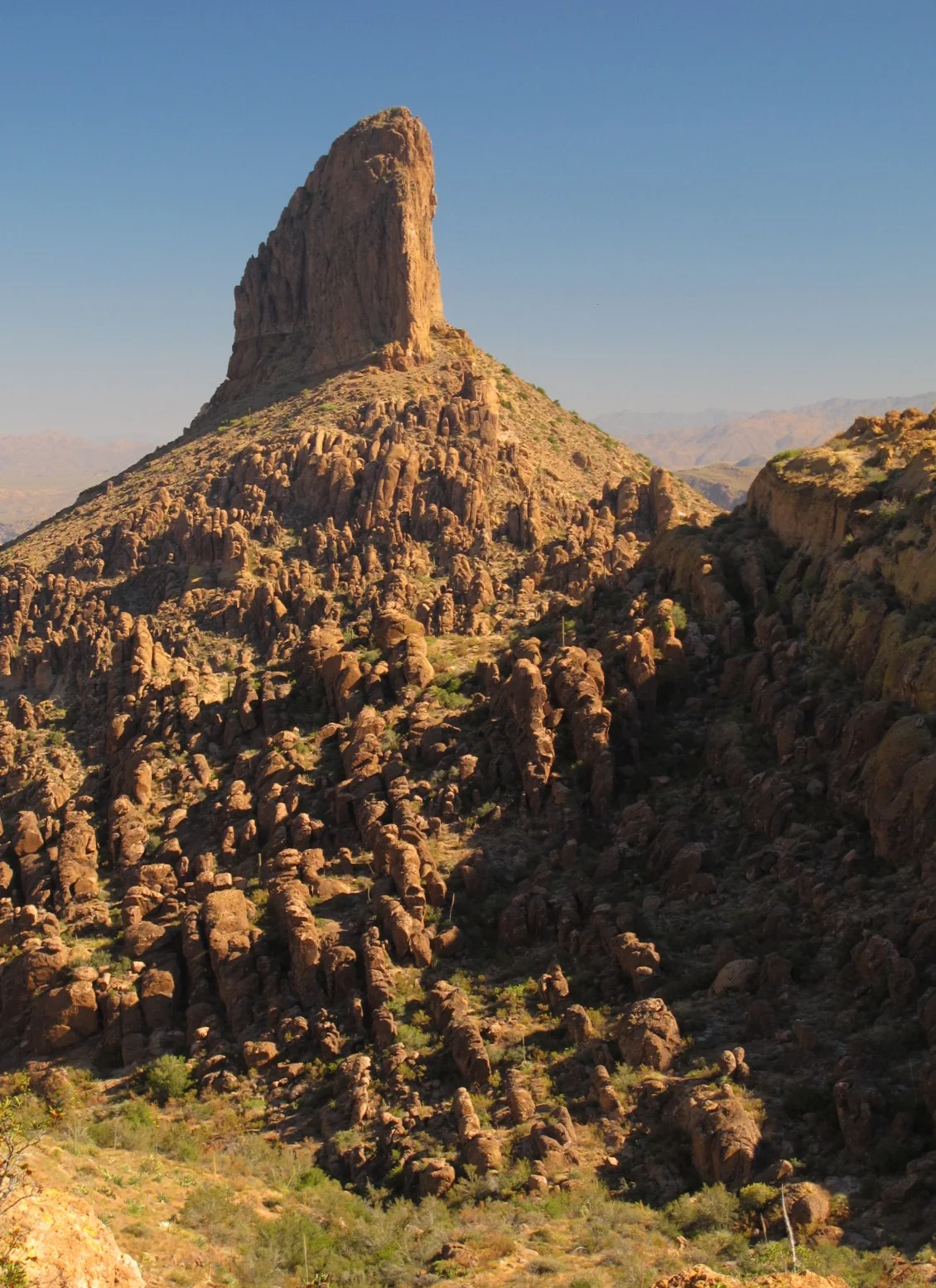 Weaver's Needle