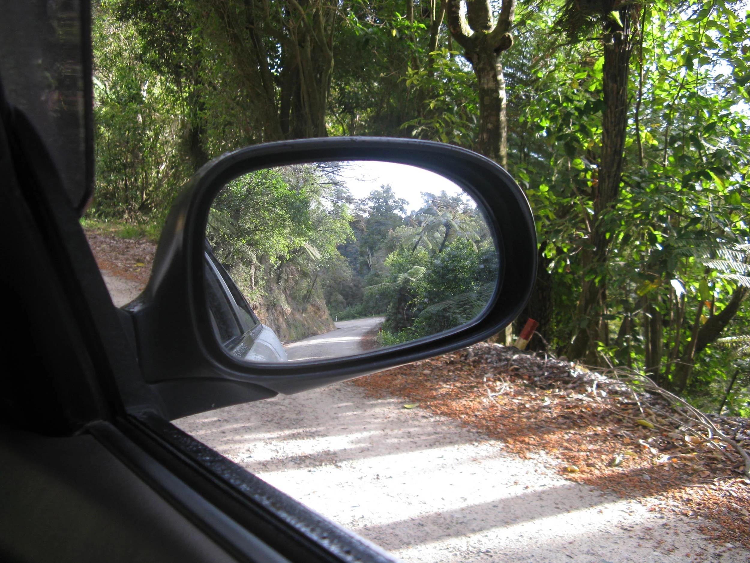 Driving to the Coast Track