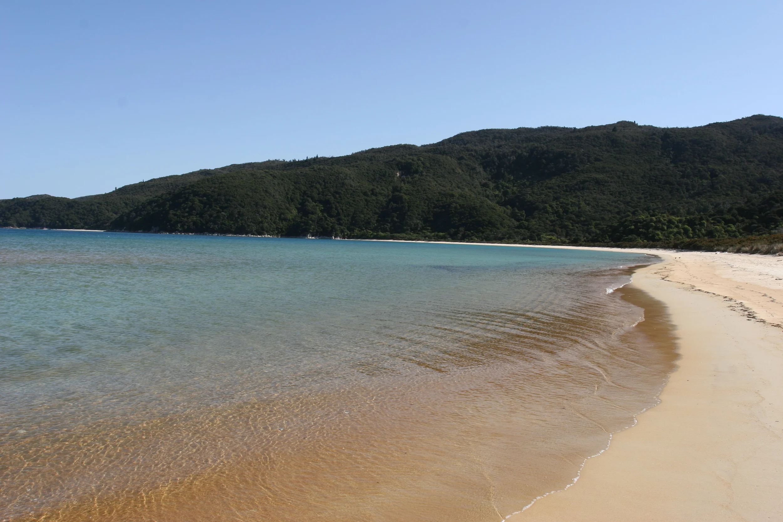  Onetahuti Bay, Looking South 