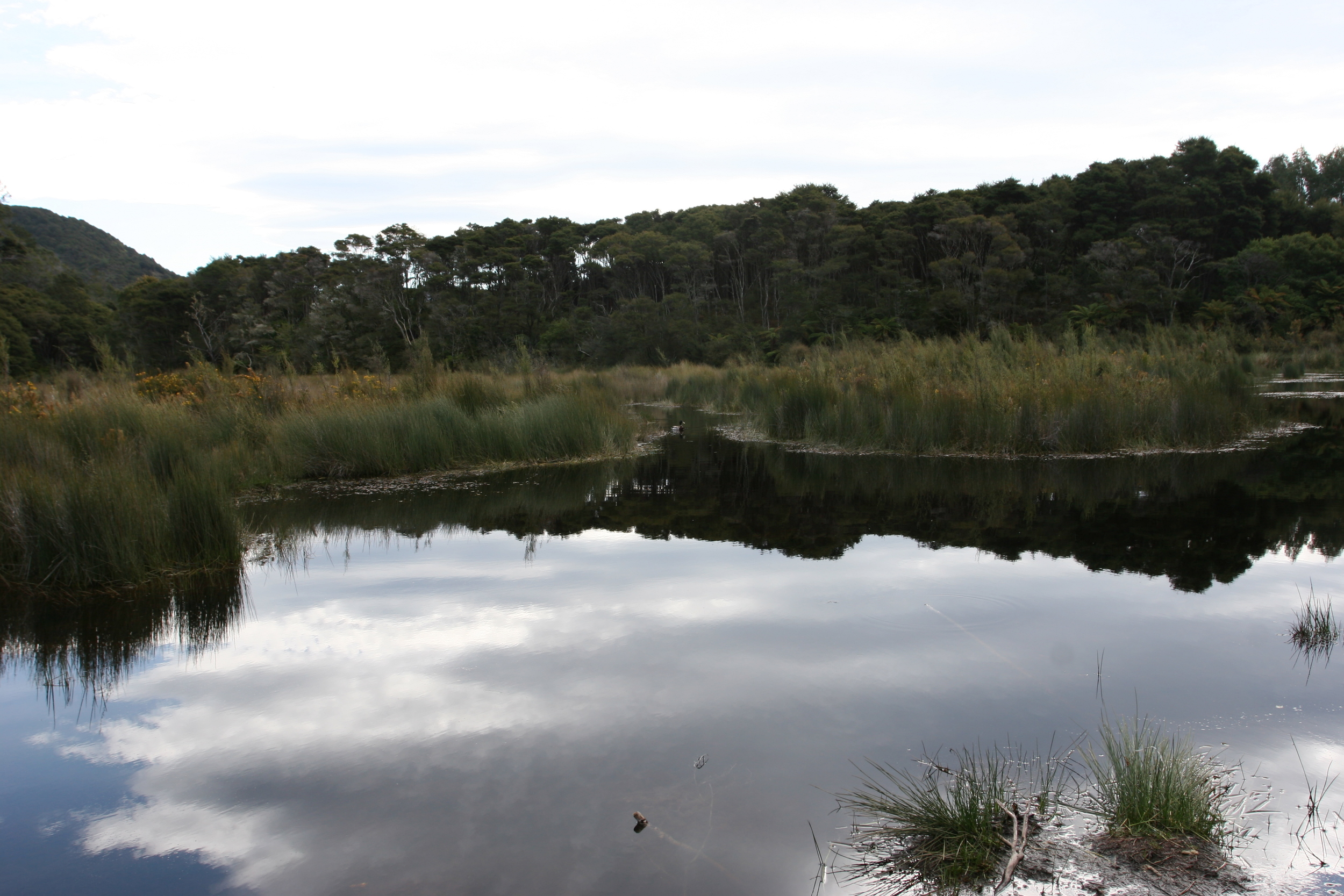  Awaroa Estuary 